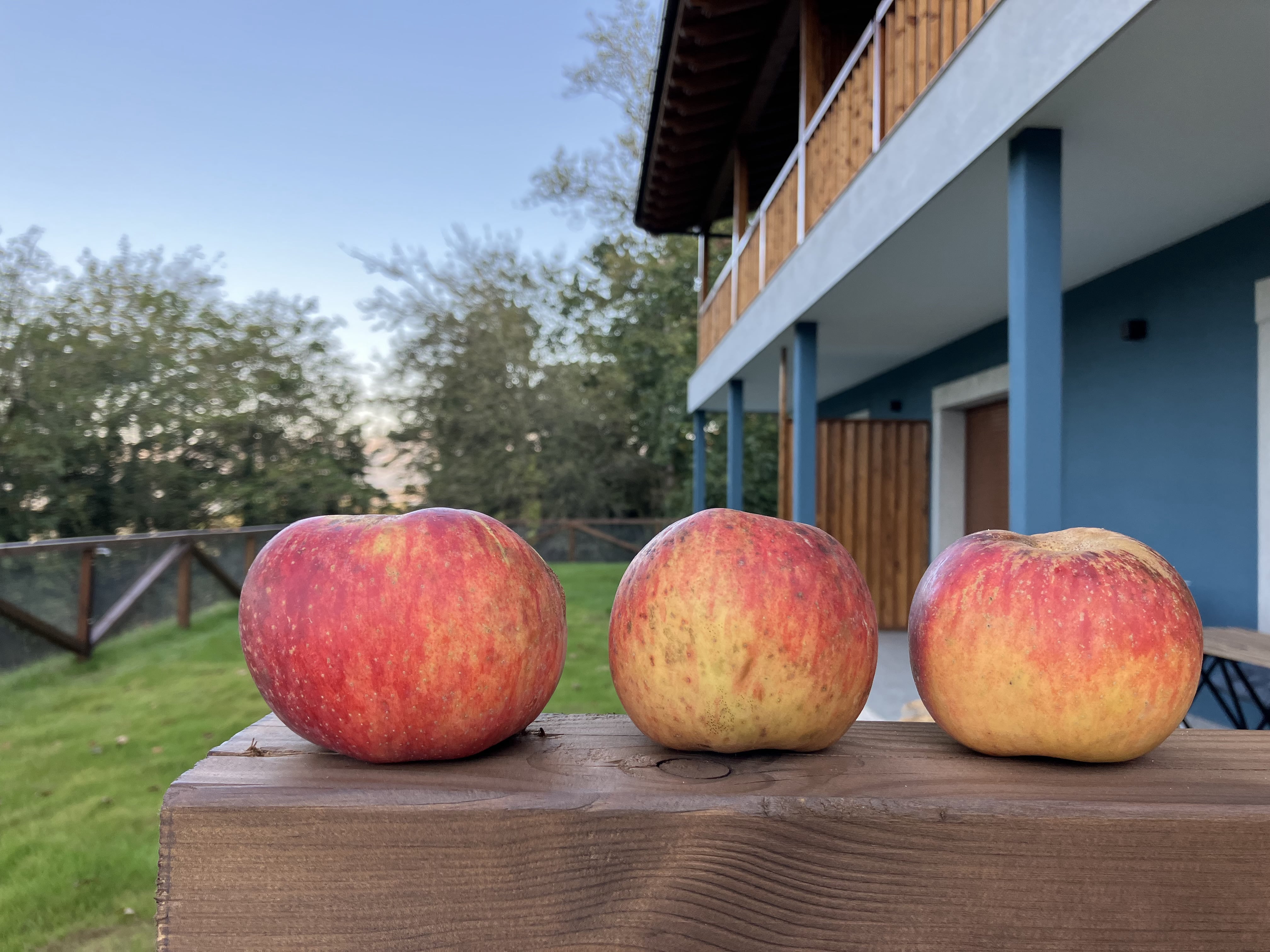 Apartamento Cotalba, Cangas de Onís