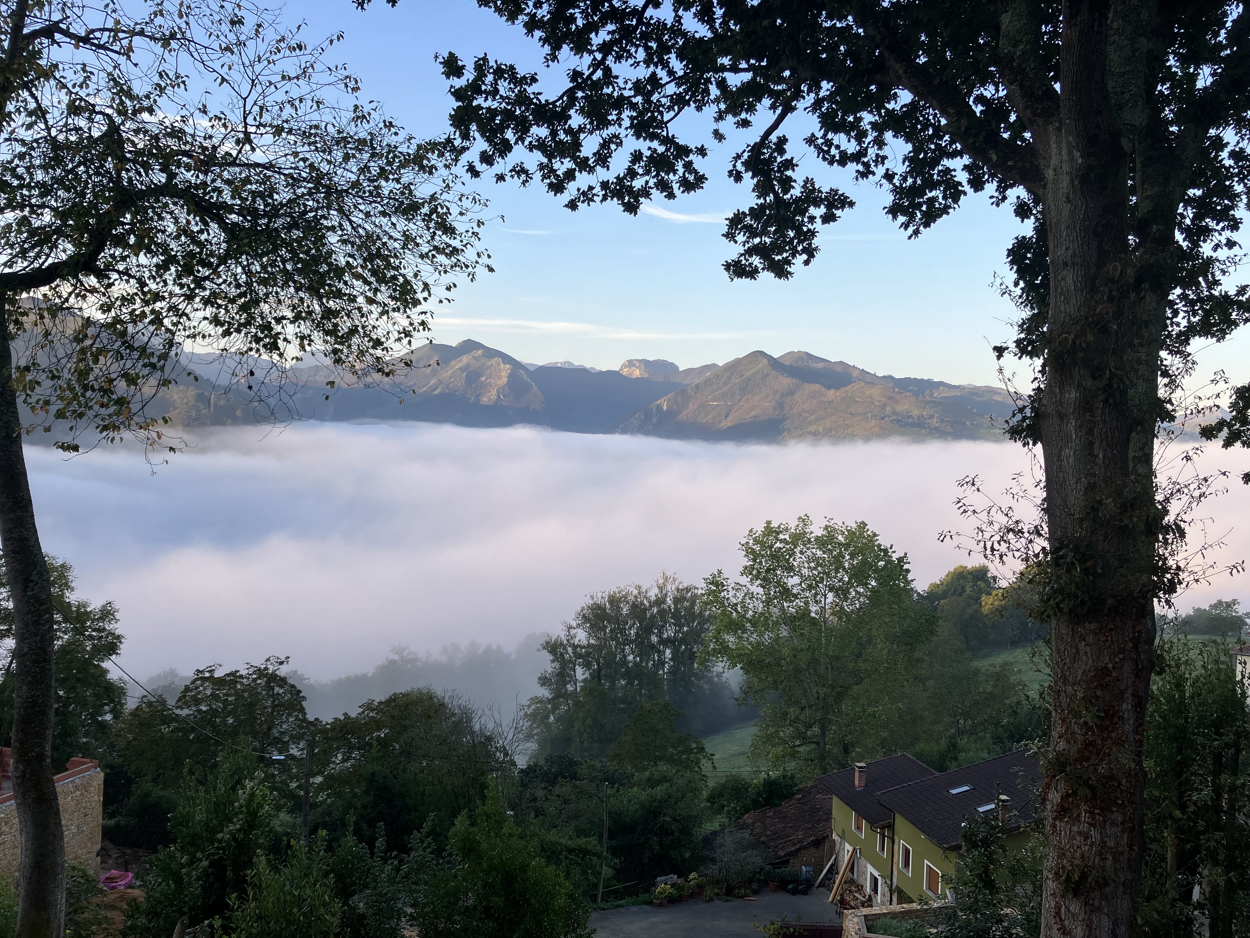 Apartamentos Montes Vindios- Cangas de Onís